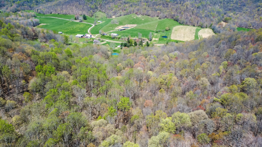 Listing Image 82