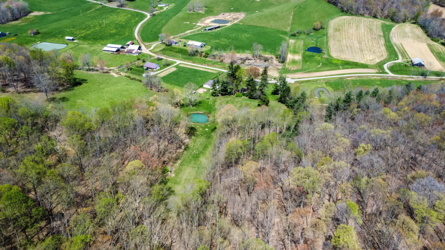 Listing Image 83
