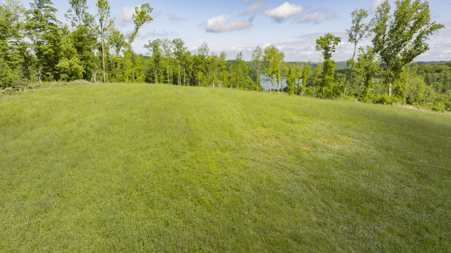 Listing Image 29