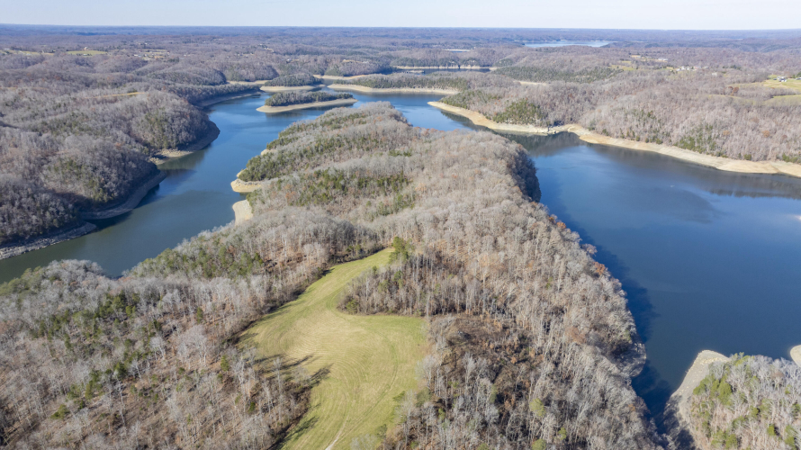 Listing Image 49