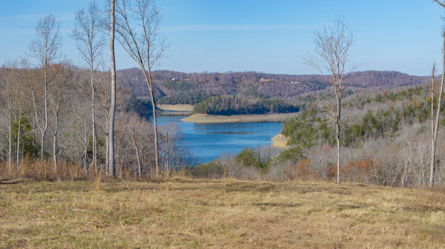 Listing Image 52