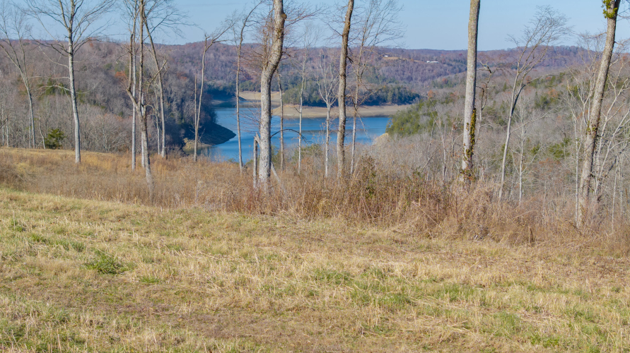 Listing Image 53