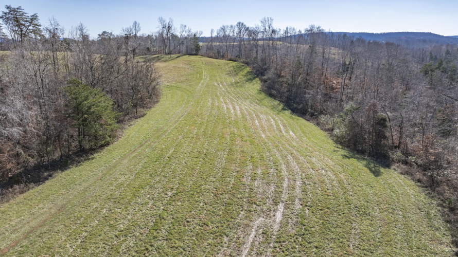 Listing Image 63