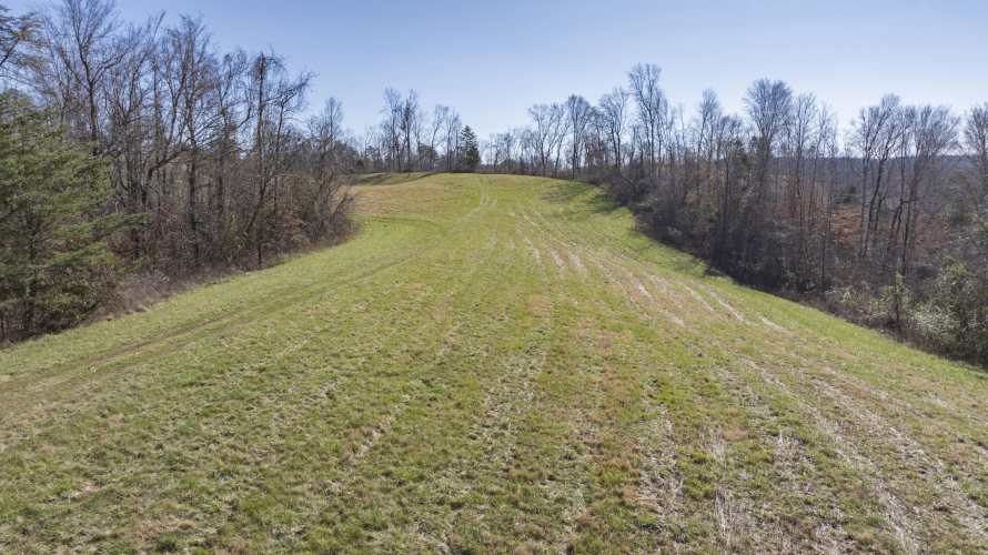 Listing Image 64
