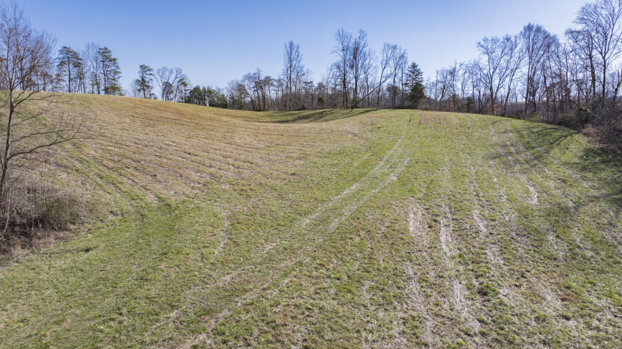 Listing Image 65