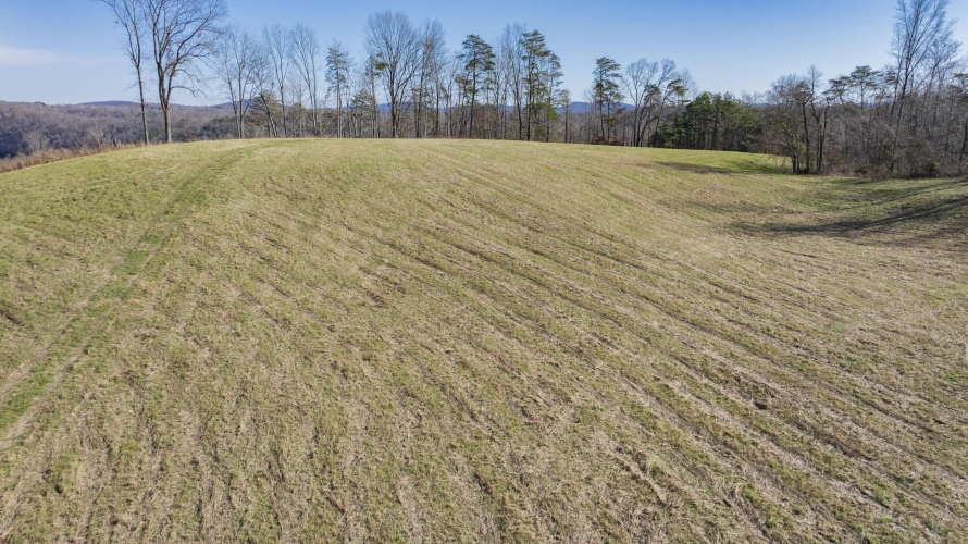 Listing Image 66