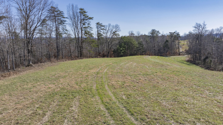 Listing Image 69