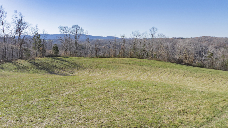 Listing Image 70