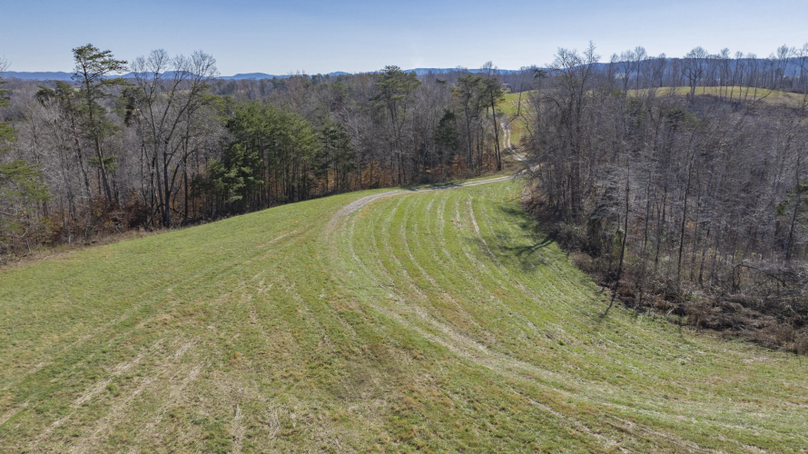 Listing Image 71