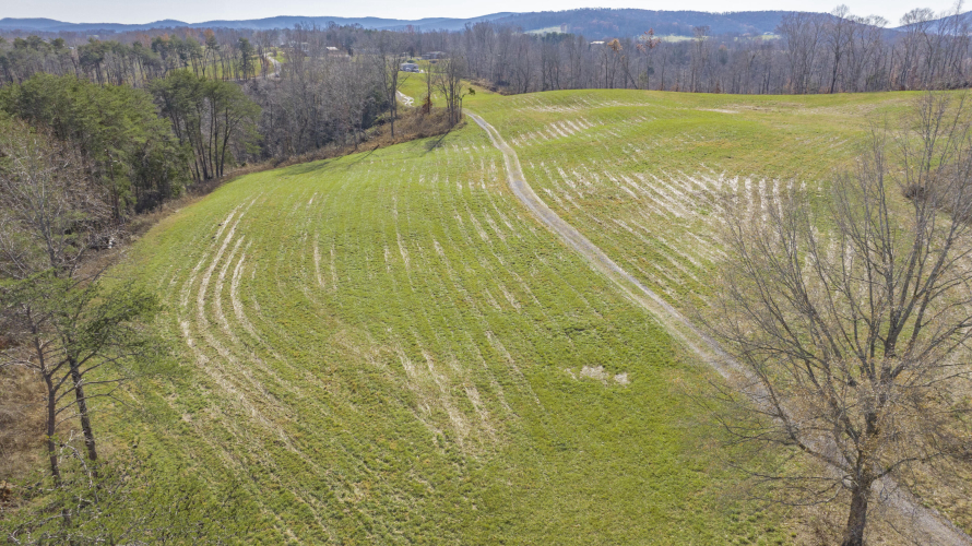 Listing Image 73