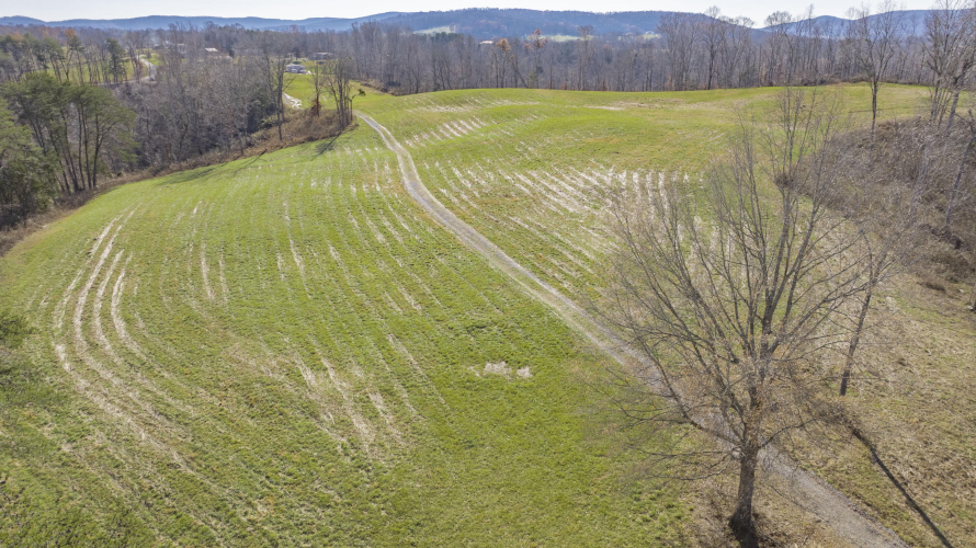 Listing Image 74