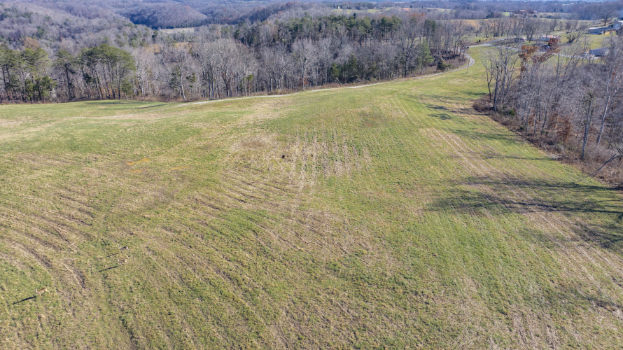 Listing Image 76
