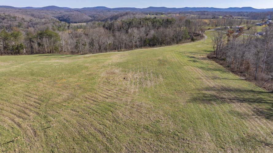 Listing Image 77