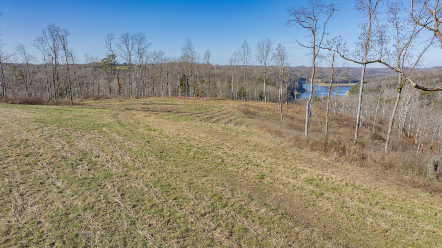 Listing Image 81