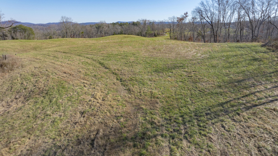 Listing Image 82