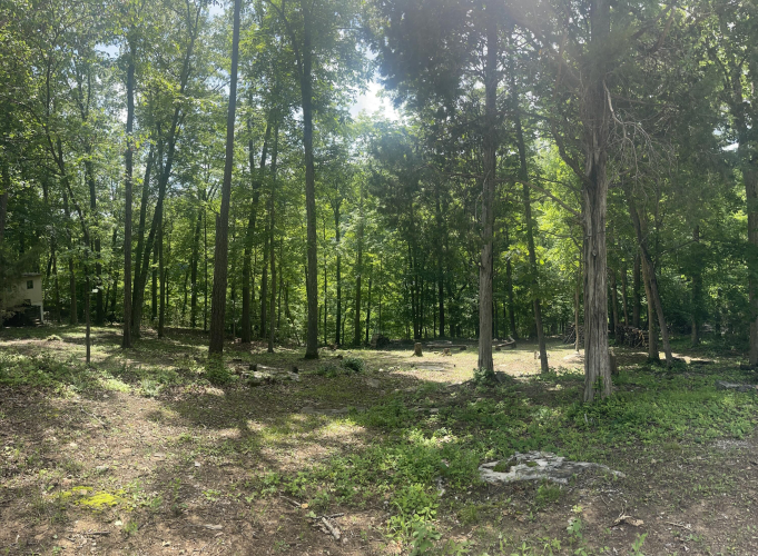 Listing Image 6