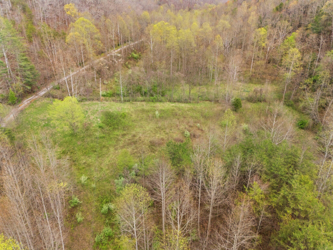 Listing Image 13