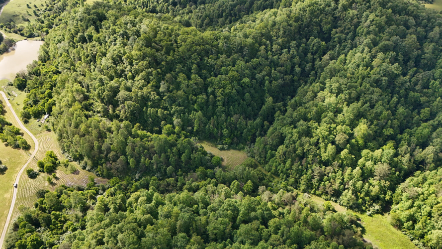 Listing Image 5