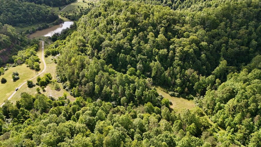 Listing Image 6