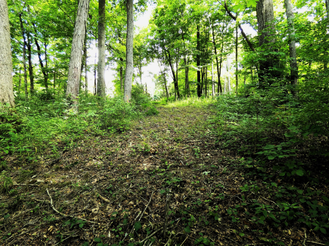 Listing Image 11