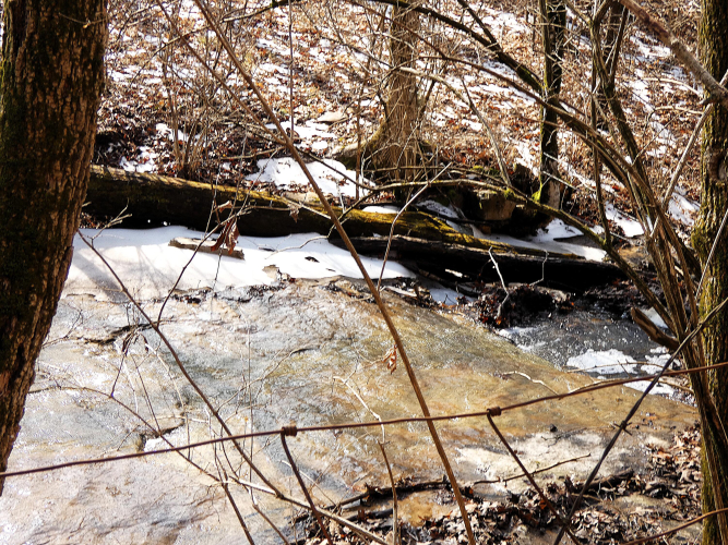 Listing Image 15