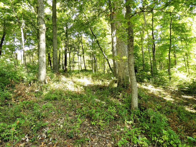Listing Image 5