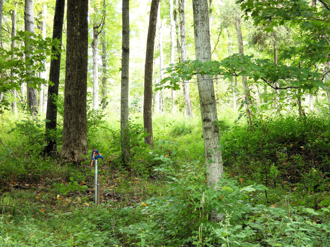 Listing Image 8