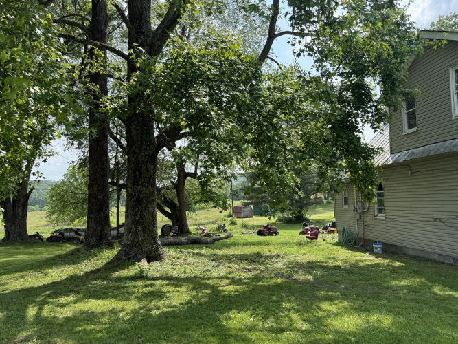 Listing Image 20
