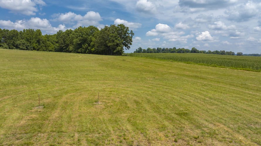 Listing Image 43