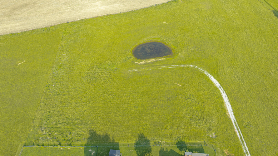 Listing Image 17