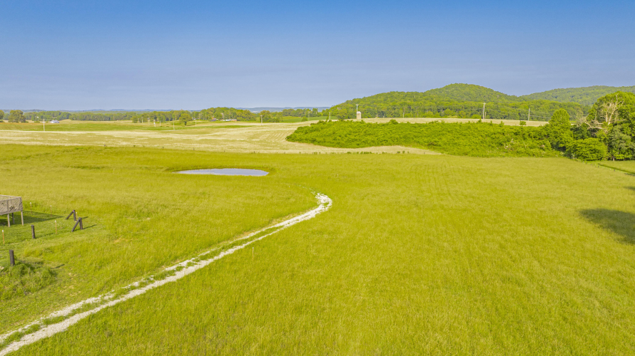 Listing Image 23