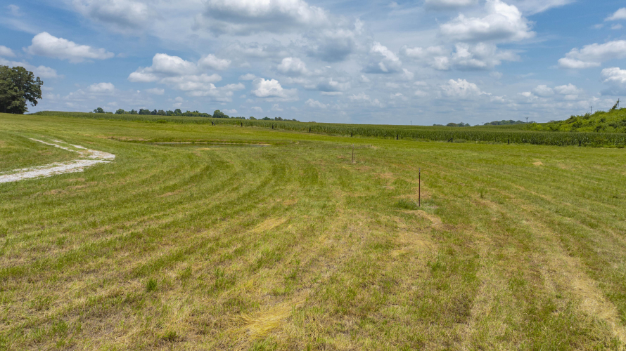 Listing Image 34