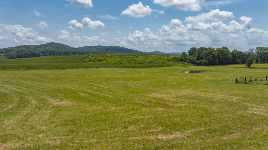 Listing Image 45