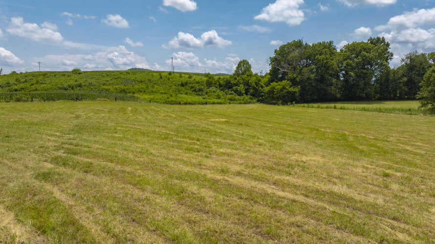 Listing Image 33