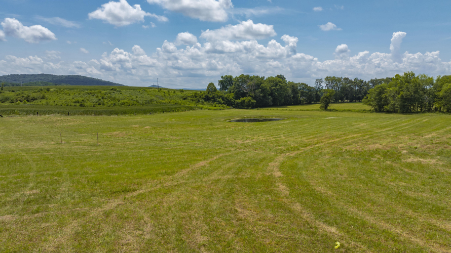 Listing Image 47