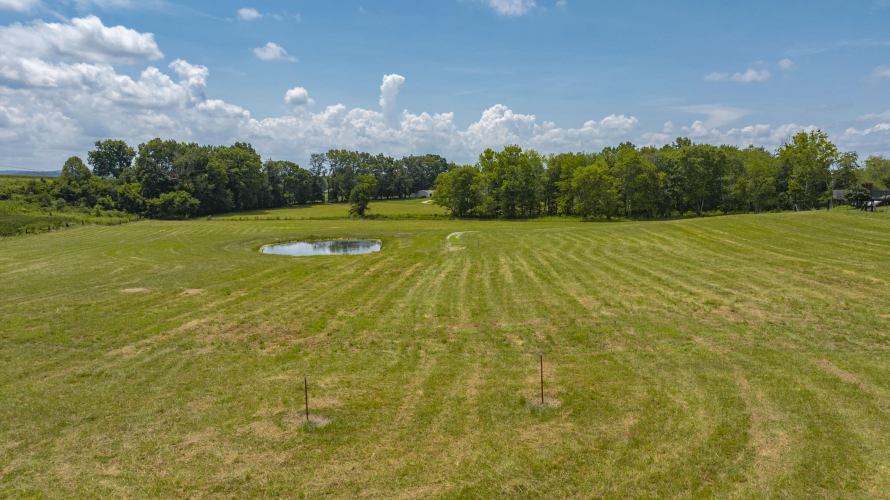 Listing Image 48