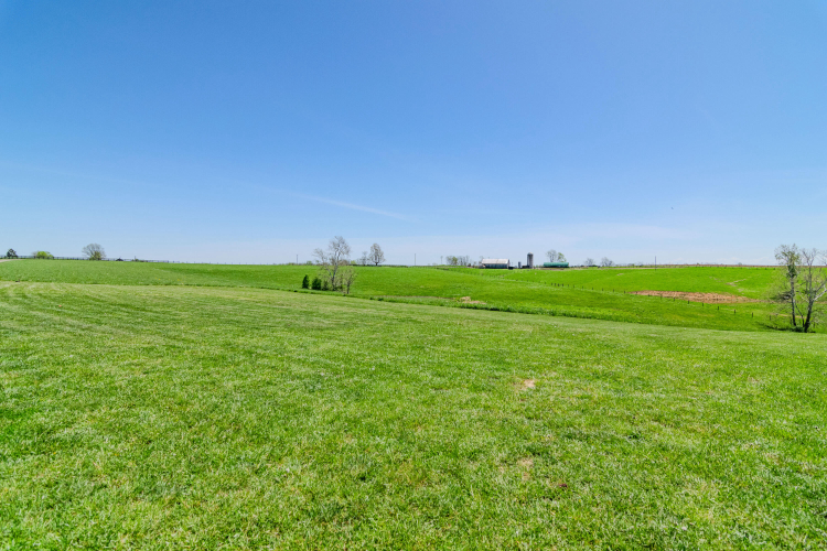 Listing Image 24