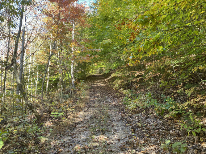 Listing Image 14