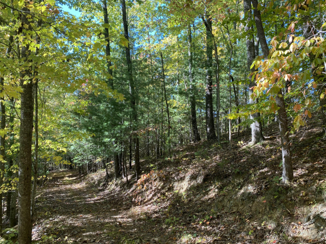 Listing Image 18