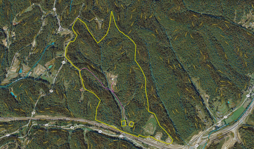 Listing Image 62