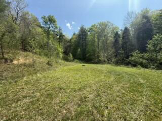 Listing Image 65