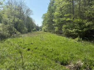 Listing Image 69