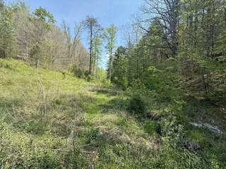 Listing Image 73