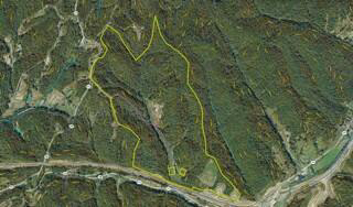 Listing Image 76