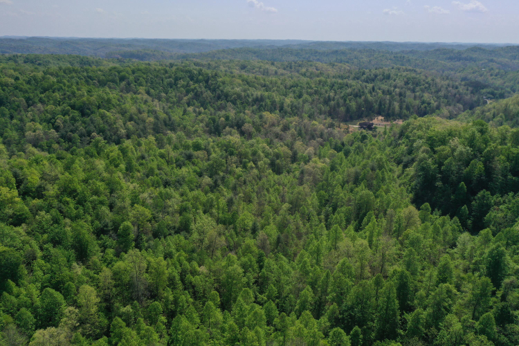 Listing Image 79