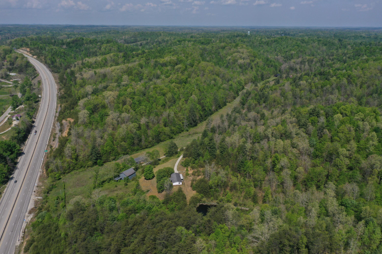 Listing Image 81
