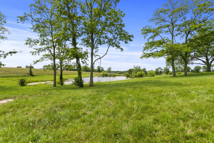 Listing Image 56