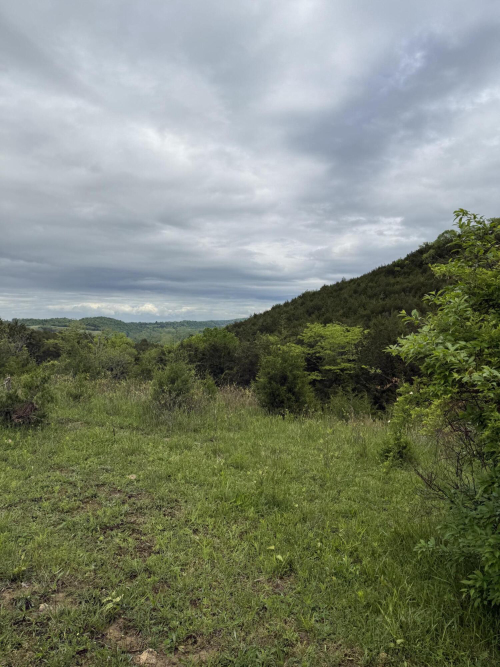 Listing Image 24