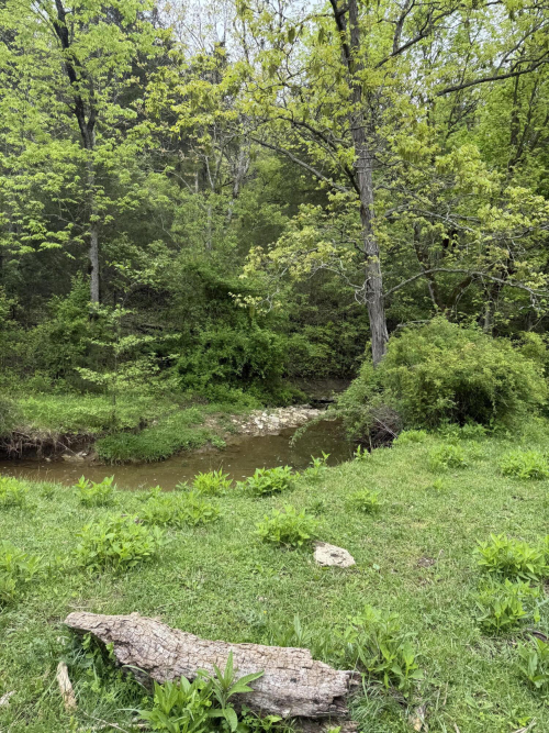 Listing Image 25
