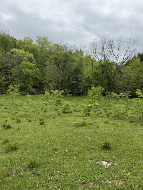 Listing Image 26